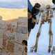 Illustration for article titled Mysterious 3,650 year-old pharaoh and lost dynasty found in Egypt